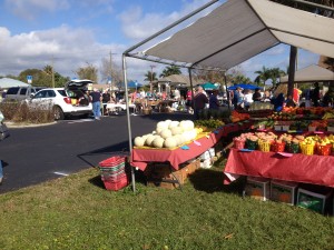 HOPE'S 2.13.16 Flea Market